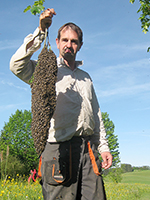 Peter Heel, Peter Heel mit Bienenschwarm